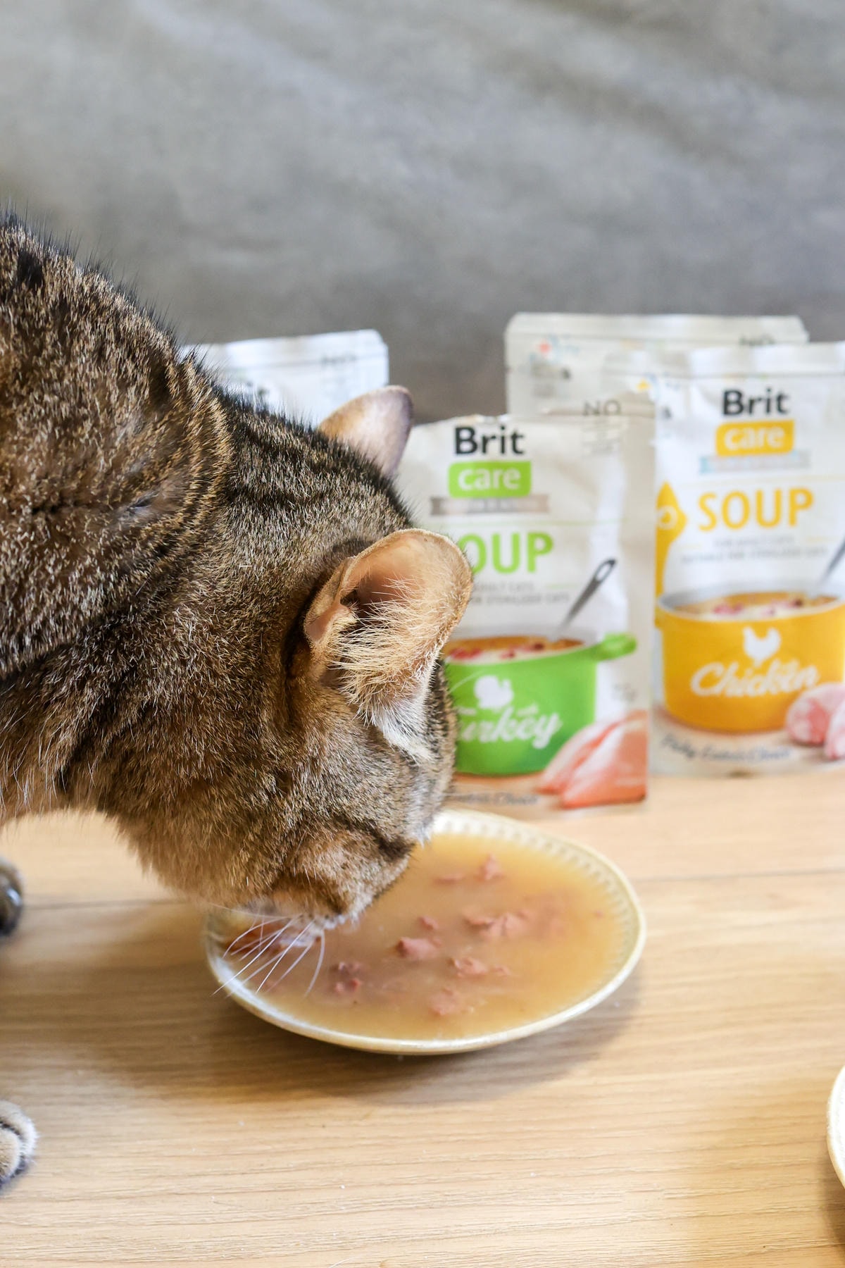 【貓犬餐包推薦】捷克原裝進口『Brit咘莉』犬餐包、貓湯包 