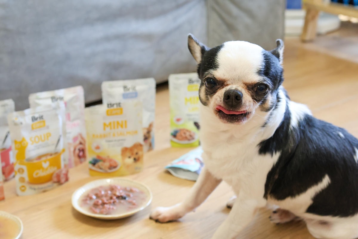 【貓犬餐包推薦】捷克原裝進口『Brit咘莉』犬餐包、貓湯包 