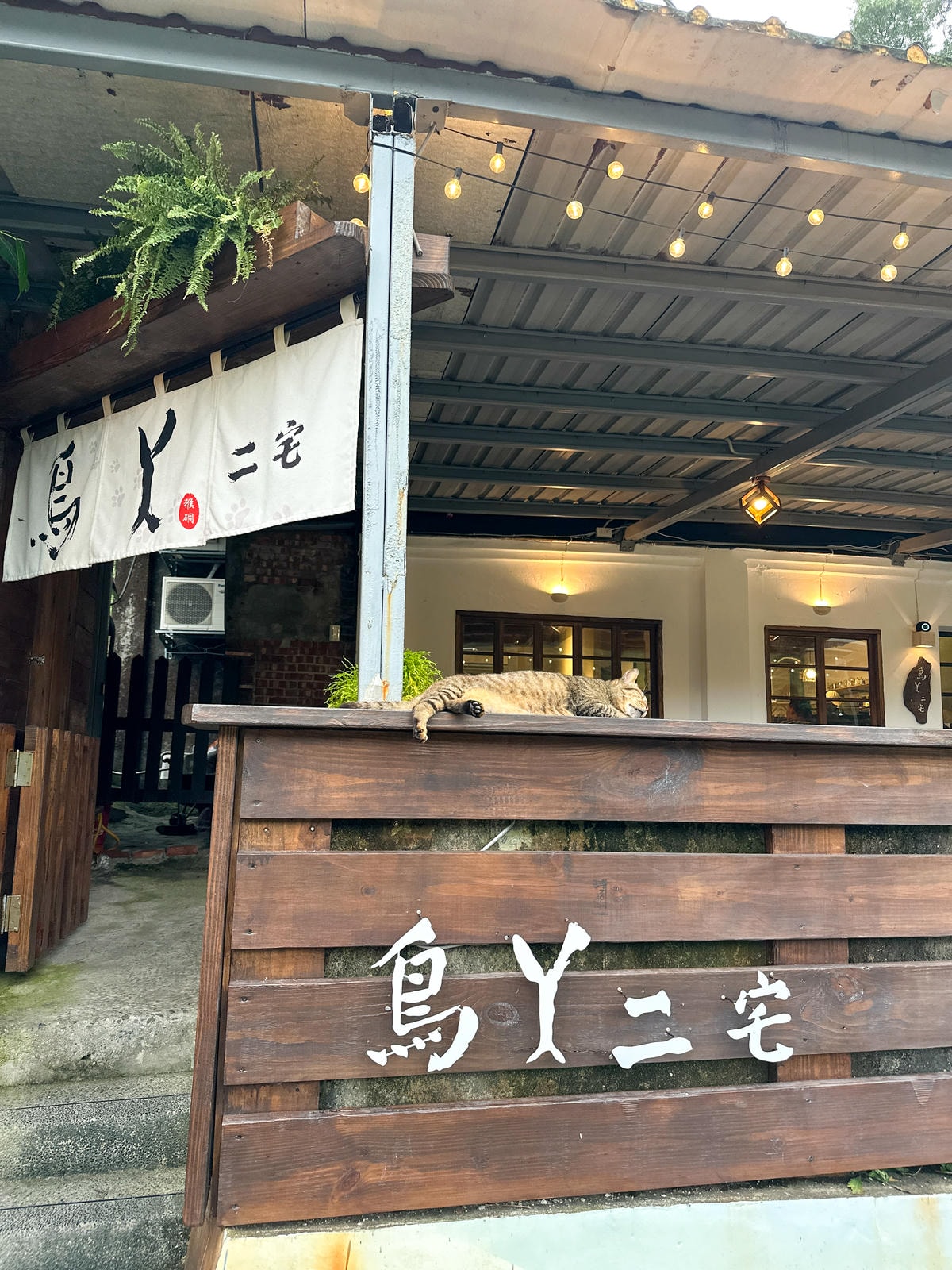 【新北景點】百年礦車體驗『猴硐礦坑休閒園區』沿途玩貓村 【新北景點】百年礦車體驗『猴硐礦坑休閒園區』沿途玩貓村