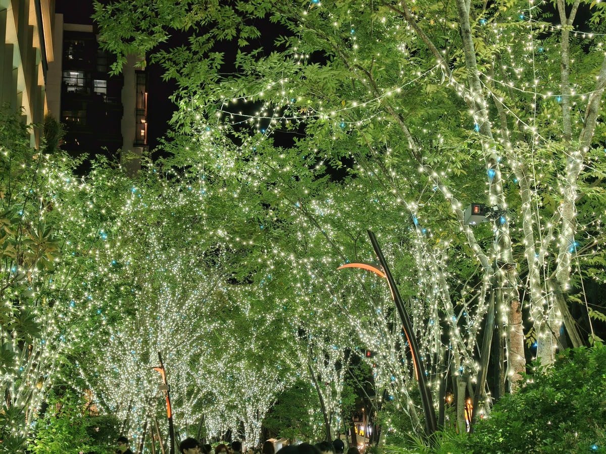 【台中住宿】草悟道生活圈『全國大飯店』附近有國立科博館、勤美 【台中住宿】草悟道生活圈『全國大飯店』附近有國立科博館、勤美