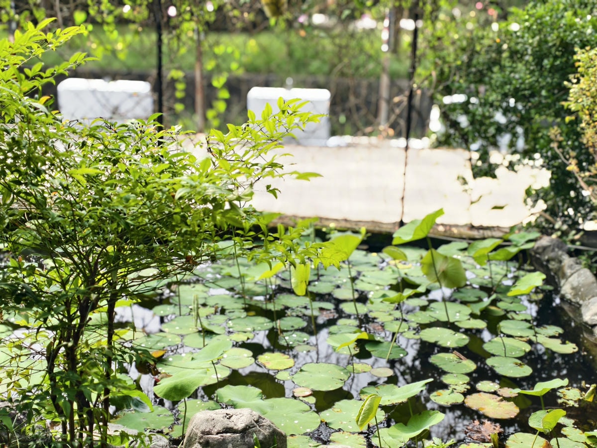 【屏東餐廳】枋寮的海邊往墾丁和南迴公路的路線，庭園式餐廳『香