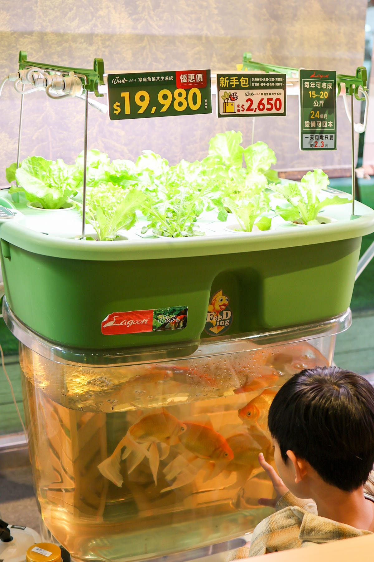 【家具分享】高質感選物，戶外家具『Lagoon』內湖店 休閒