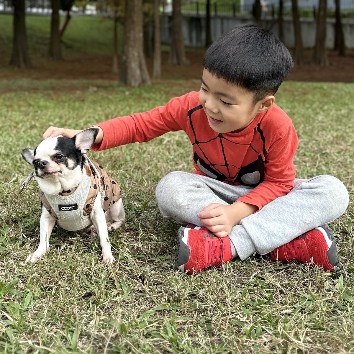 【台東住宿】『娜路彎大酒店』寵物房好貼心！毛寶貝專案，住宿環