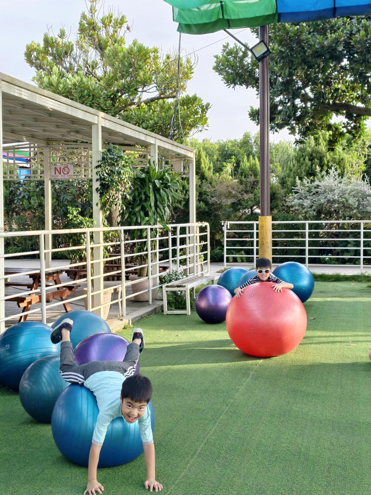 【嘉義景點】親子旅遊景點『三隻小豬觀光農場』高CP值，大型草