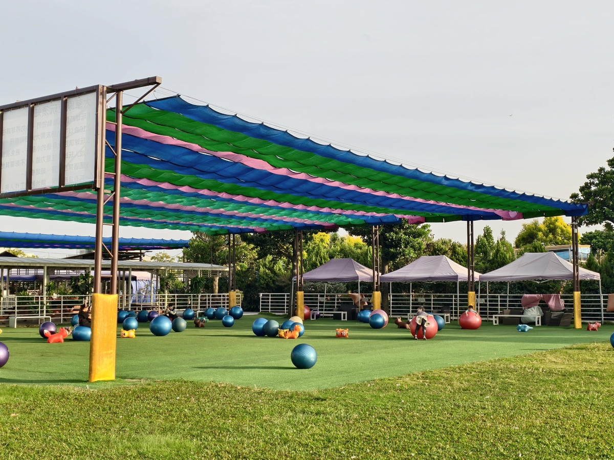 【嘉義景點】親子旅遊景點『三隻小豬觀光農場』高CP值，大型草