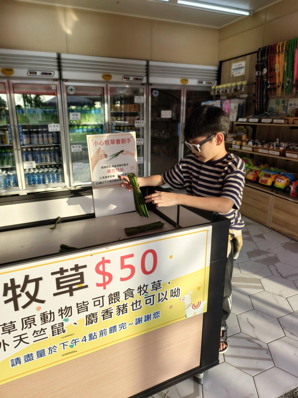 【嘉義景點】親子旅遊景點『三隻小豬觀光農場』高CP值，大型草