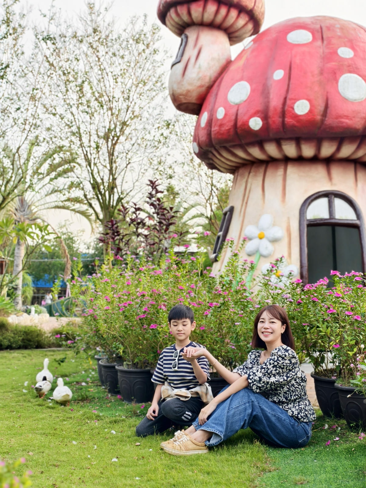 【嘉義景點】親子旅遊景點『三隻小豬觀光農場』高CP值，大型草