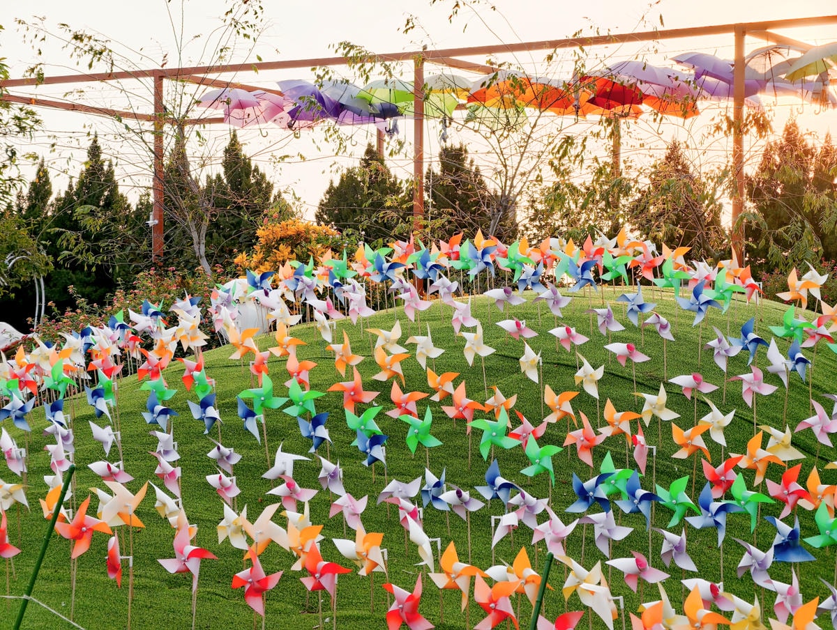 【嘉義景點】親子旅遊景點『三隻小豬觀光農場』高CP值，大型草