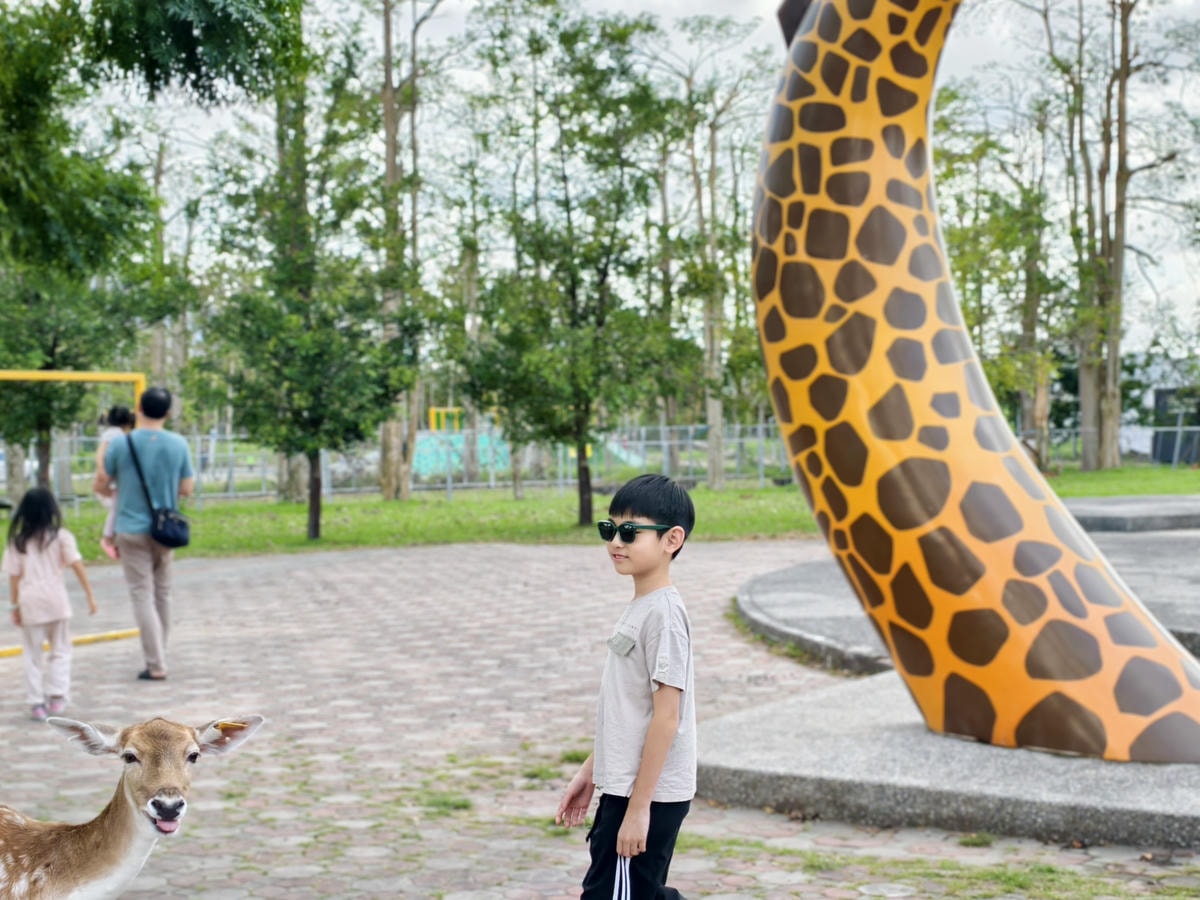 【台東景點】台版小奈良『鹿野梅花鹿公園』小動物餵食、鴨子、天