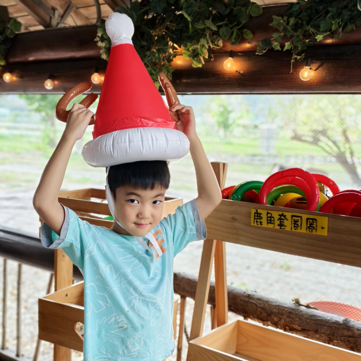 【台東景點】台版小奈良『鹿野梅花鹿公園』小動物餵食、鴨子、天