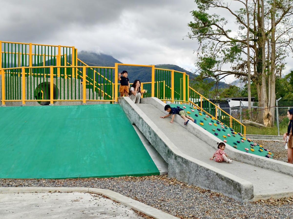 【台東景點】台版小奈良『鹿野梅花鹿公園』小動物餵食、鴨子、天