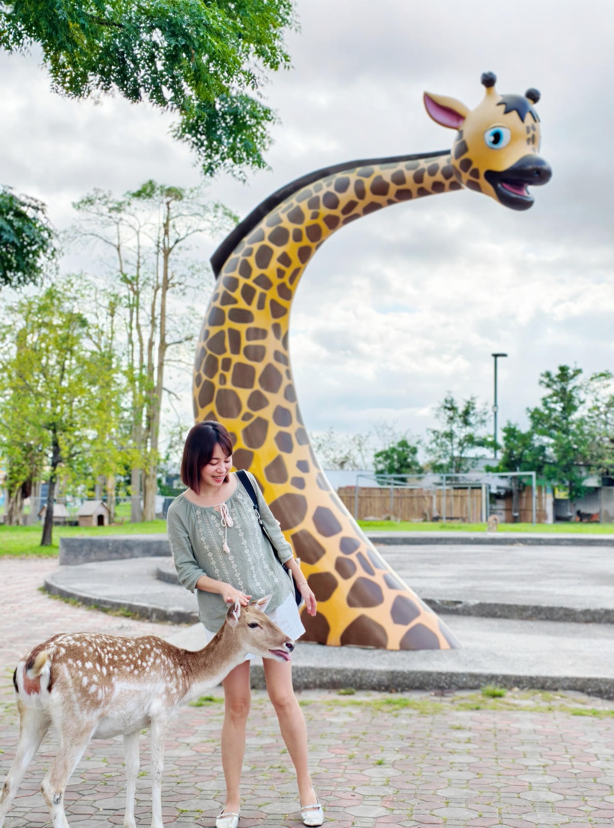 【台東景點】台版小奈良『鹿野梅花鹿公園』小動物餵食、鴨子、天