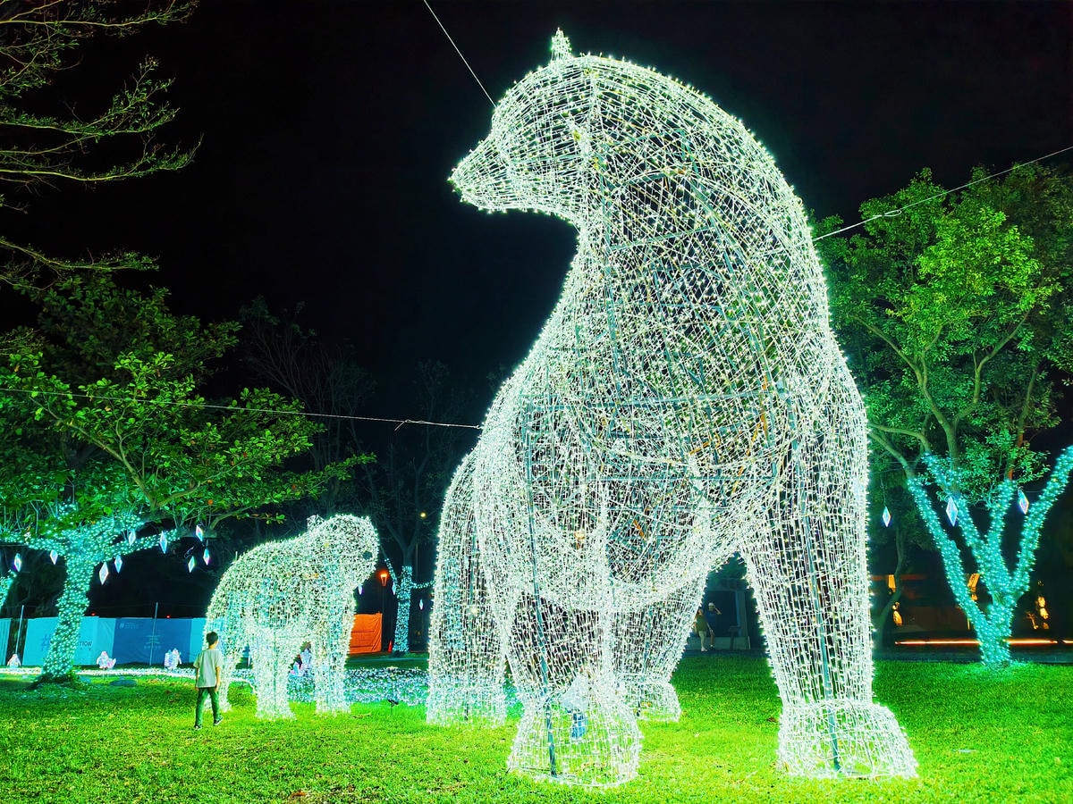 【2024台東鐵花燈之祭】極地童話,台東鐵花新聚落(鐵花村)