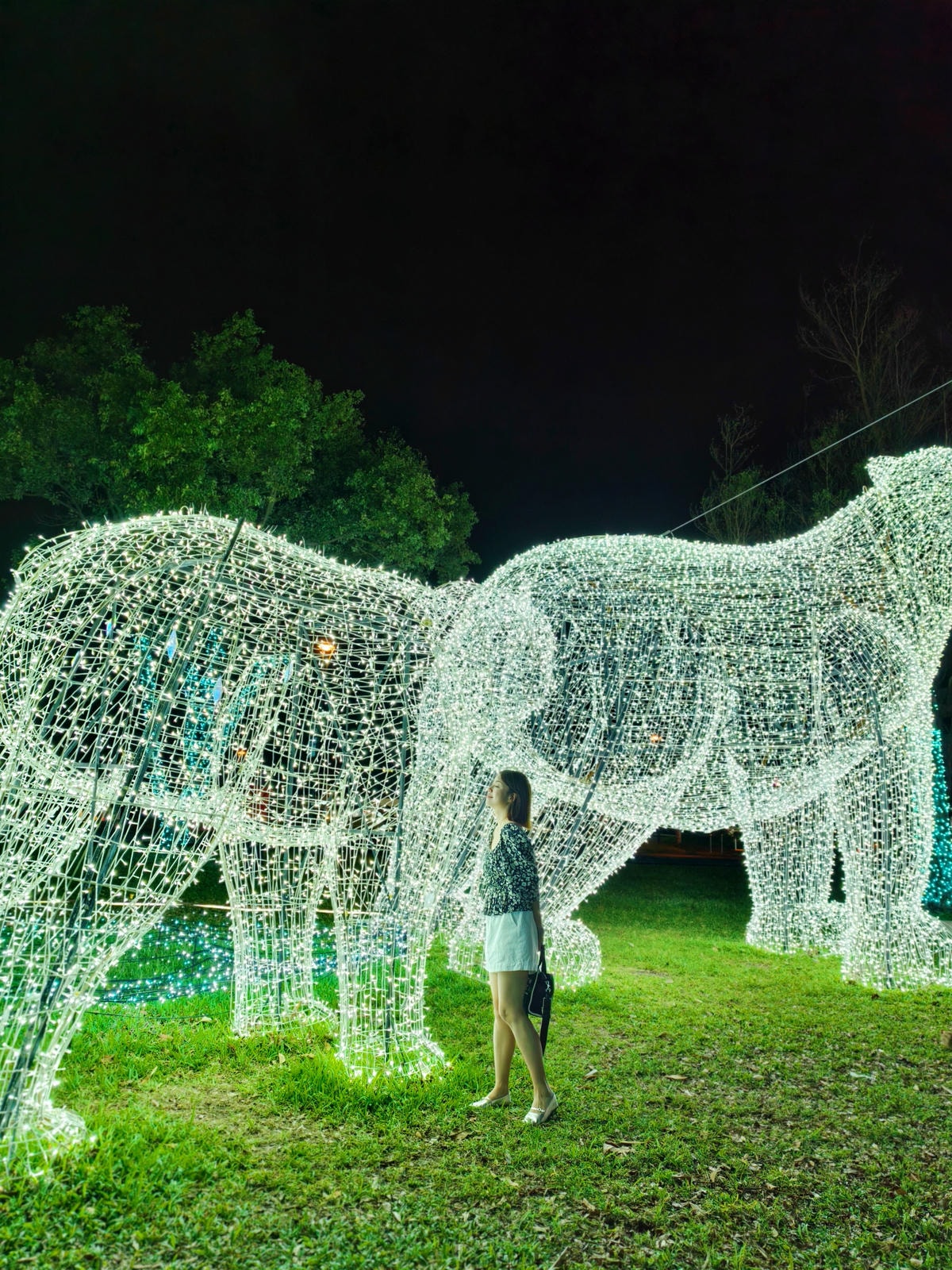 【2024台東鐵花燈之祭】極地童話，台東鐵花新聚落（鐵花村）