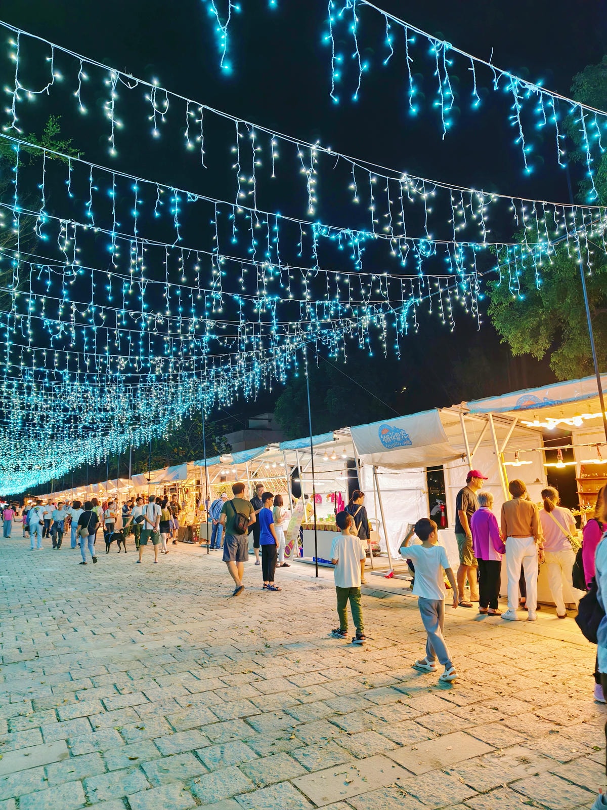 【2024台東鐵花燈之祭】極地童話，台東鐵花新聚落（鐵花村）