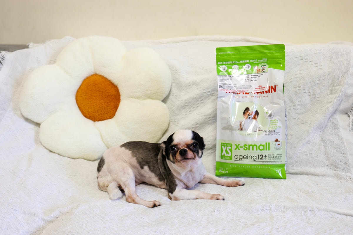 【老犬飼料推薦】開箱 法國皇家『迷你老犬專用乾糧XSA+12