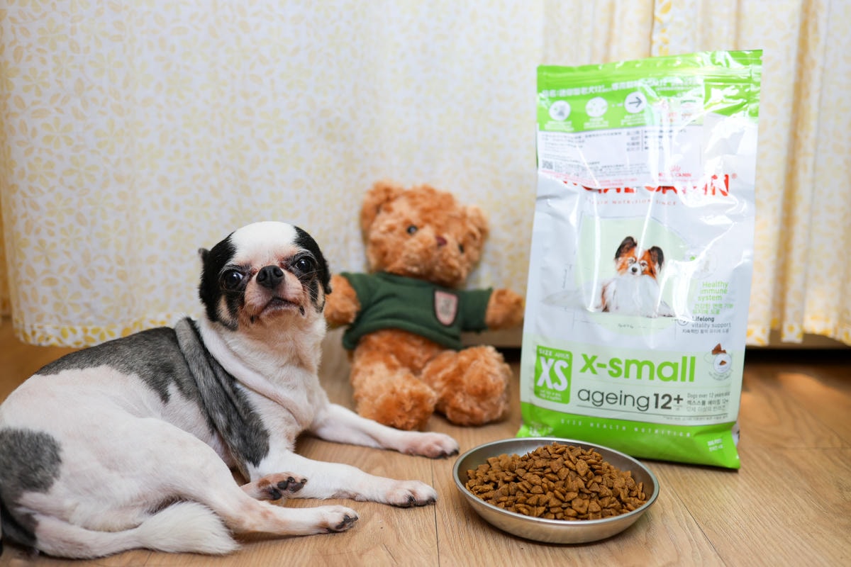 【老犬飼料推薦】開箱 法國皇家『迷你老犬專用乾糧XSA+12