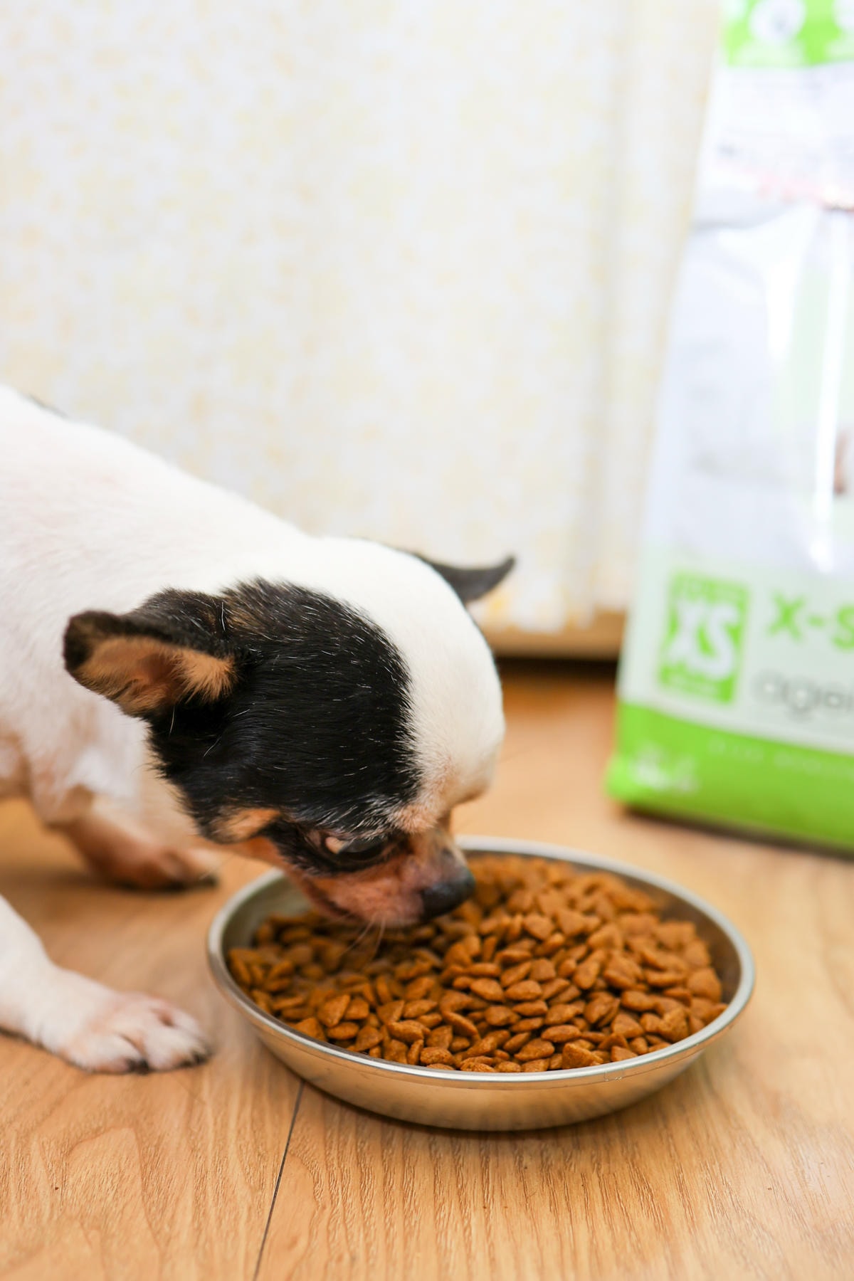 【老犬飼料推薦】開箱 法國皇家『迷你老犬專用乾糧XSA+12