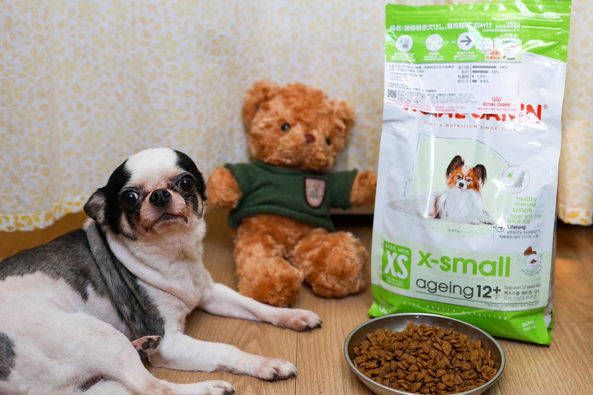 【老犬飼料推薦】開箱 法國皇家『迷你老犬專用乾糧XSA+12