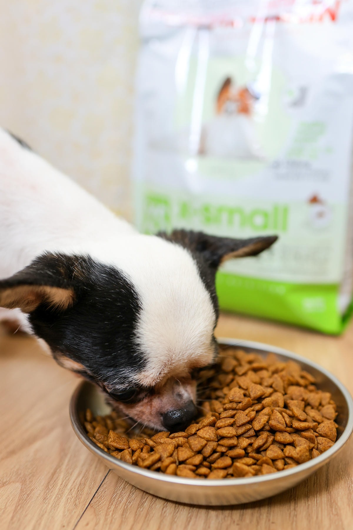 【老犬飼料推薦】開箱 法國皇家『迷你老犬專用乾糧XSA+12