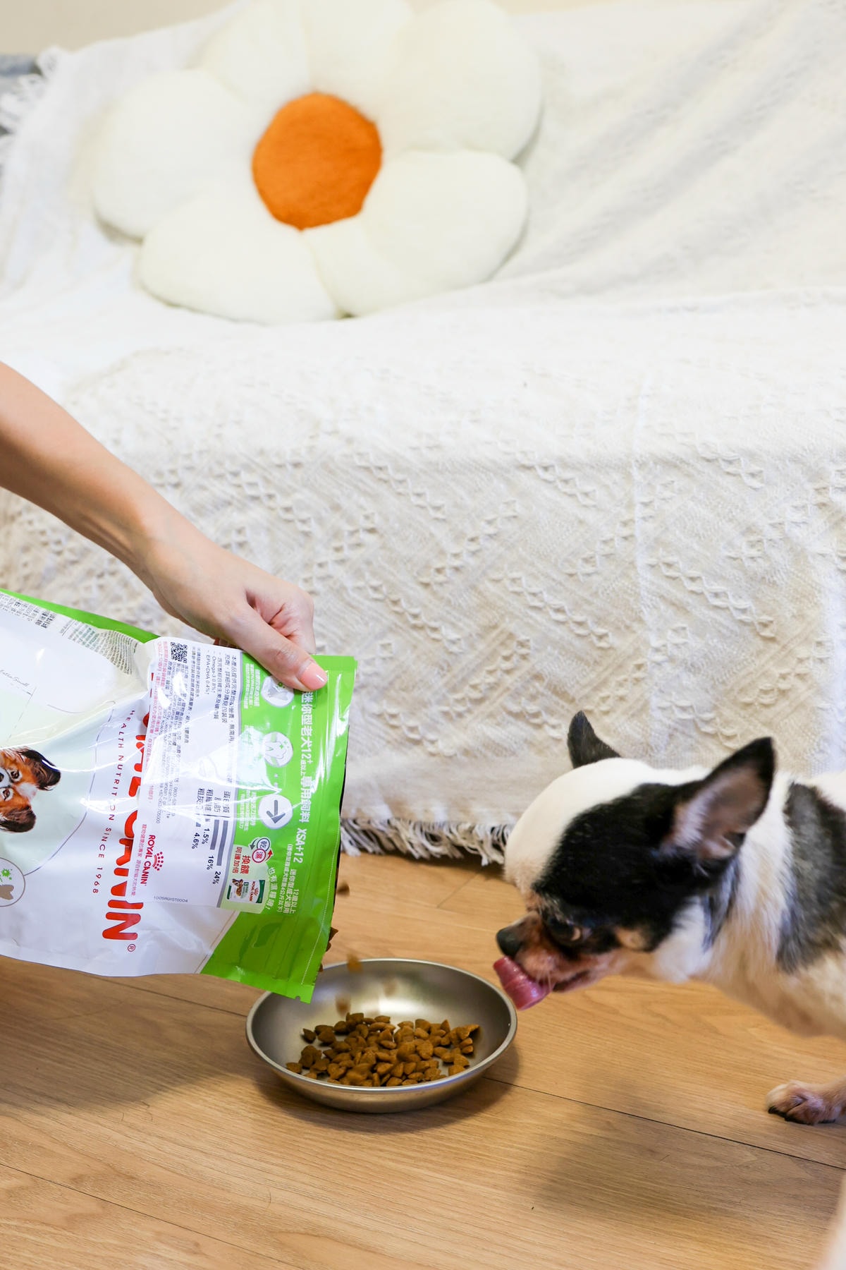 【老犬飼料推薦】開箱 法國皇家『迷你老犬專用乾糧XSA+12