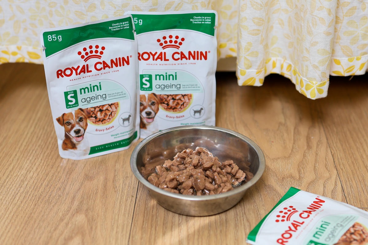 【老犬飼料推薦】開箱 法國皇家『迷你老犬專用乾糧XSA+12