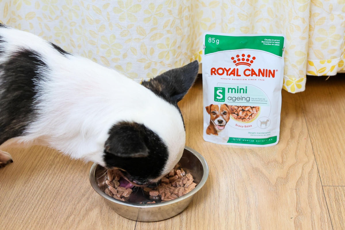 【老犬飼料推薦】開箱 法國皇家『迷你老犬專用乾糧XSA+12