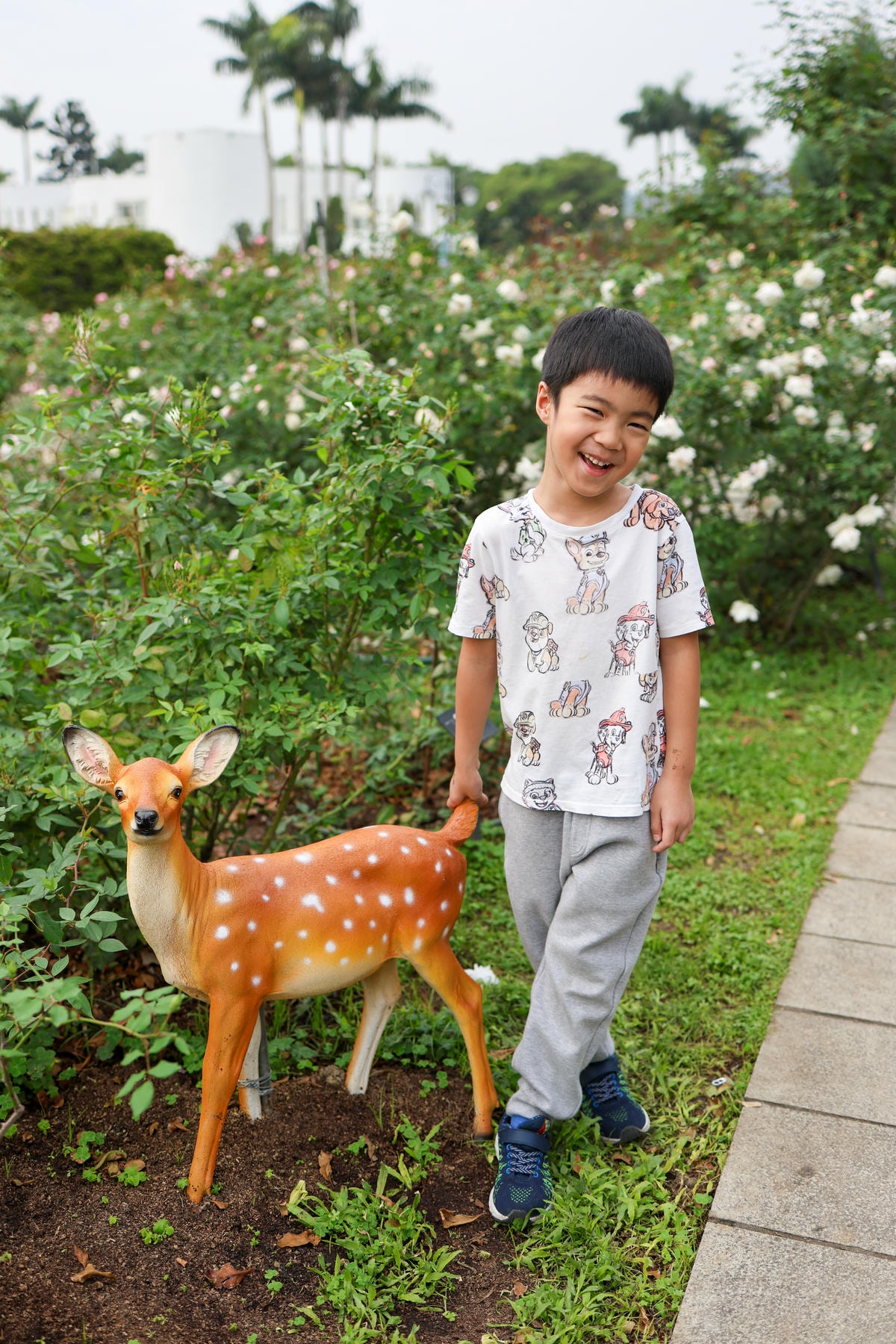 【台北景點】共融公園溜滑梯,2024全台最大玫瑰花園花展來囉 【台北景點】共融公園溜滑梯,2024全台最大玫瑰花園花展來囉