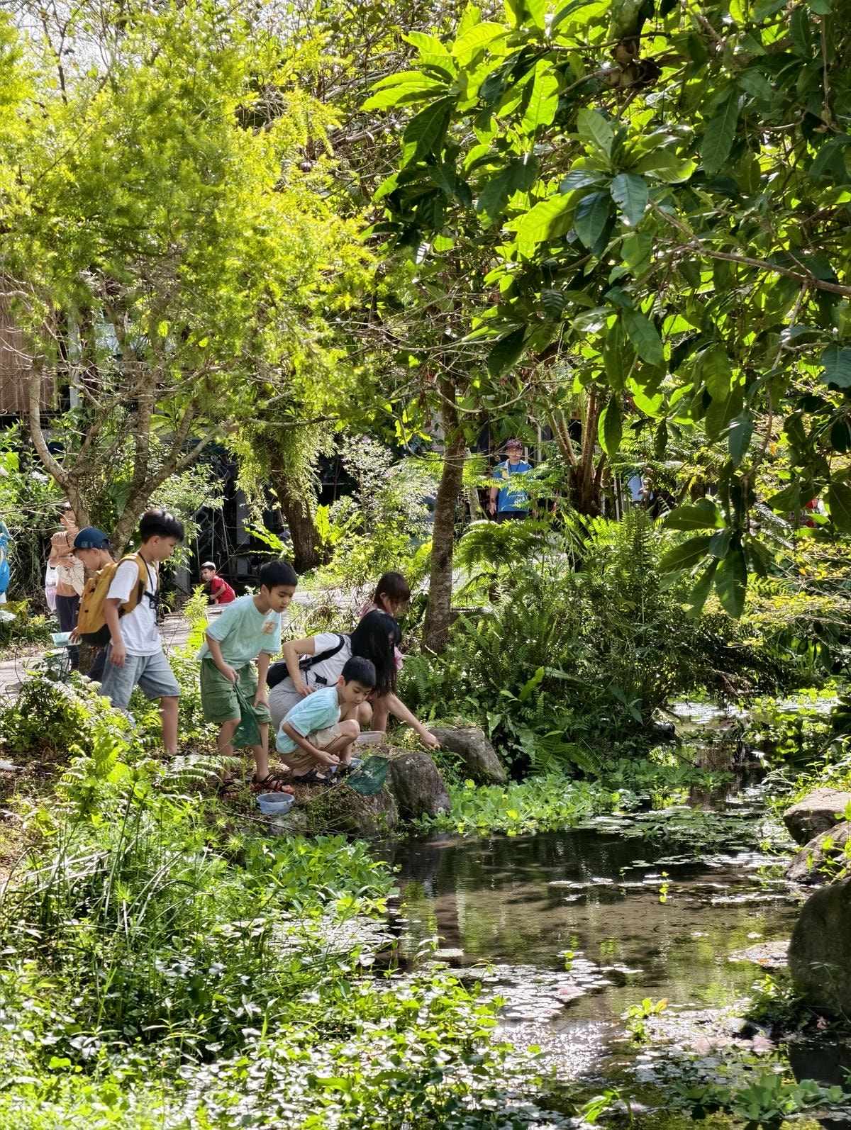 【宜蘭親子景點】田媽媽花泉休閒農場|野薑花海、清涼湧泉戲水池 【宜蘭親子景點】田媽媽花泉休閒農場|野薑花海、清涼湧泉戲水池