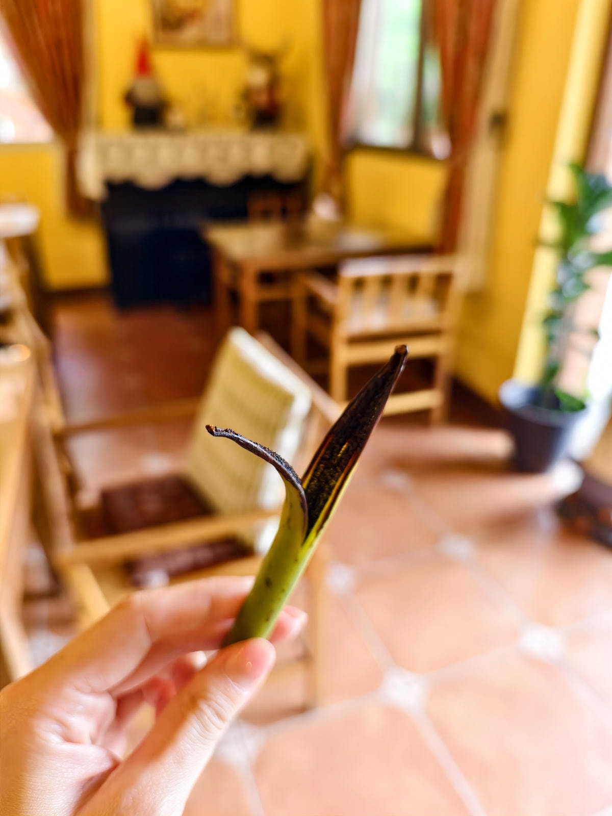 【南投埔里住宿推薦】近期住到最喜歡的南投民宿|布拉姆索鄉村民 【南投埔里住宿推薦】近期住到最喜歡的南投民宿|布拉姆索鄉村民