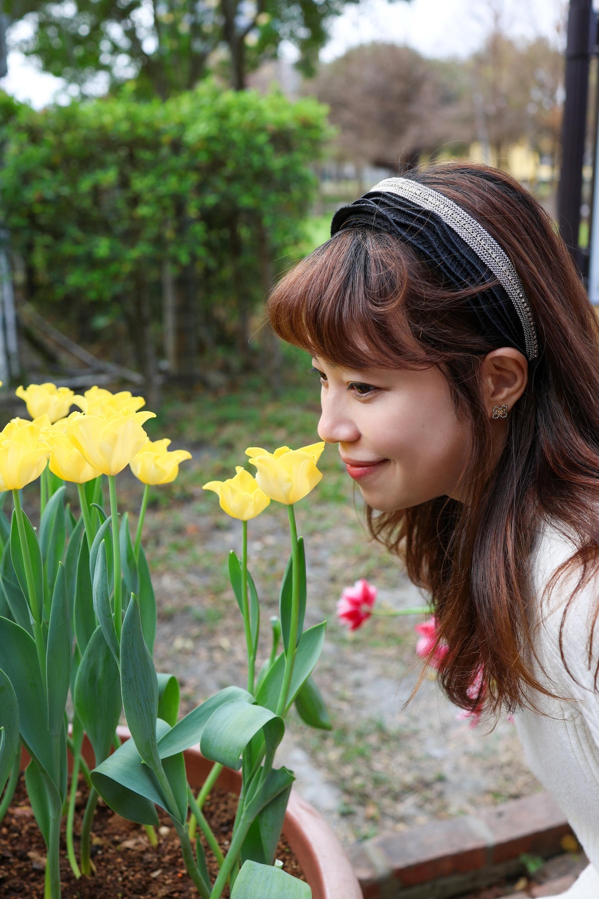 【台北景點】2024士林官邸鬱金香展,元宵節賞花和賞燈! 【台北景點】2024士林官邸鬱金香展,元宵節賞花和賞燈!