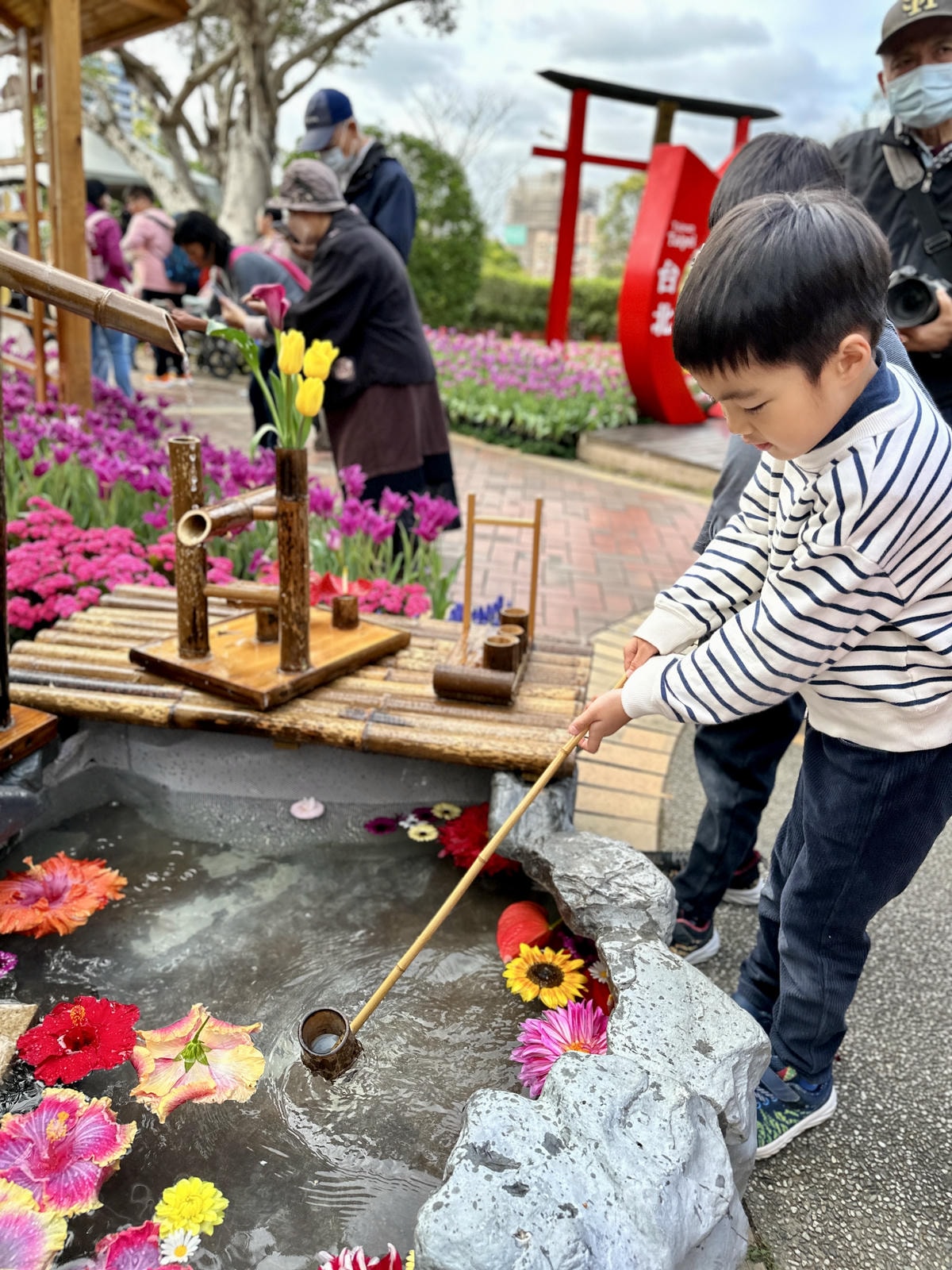 【台北景點】2024士林官邸鬱金香展,元宵節賞花和賞燈! 【台北景點】2024士林官邸鬱金香展,元宵節賞花和賞燈!