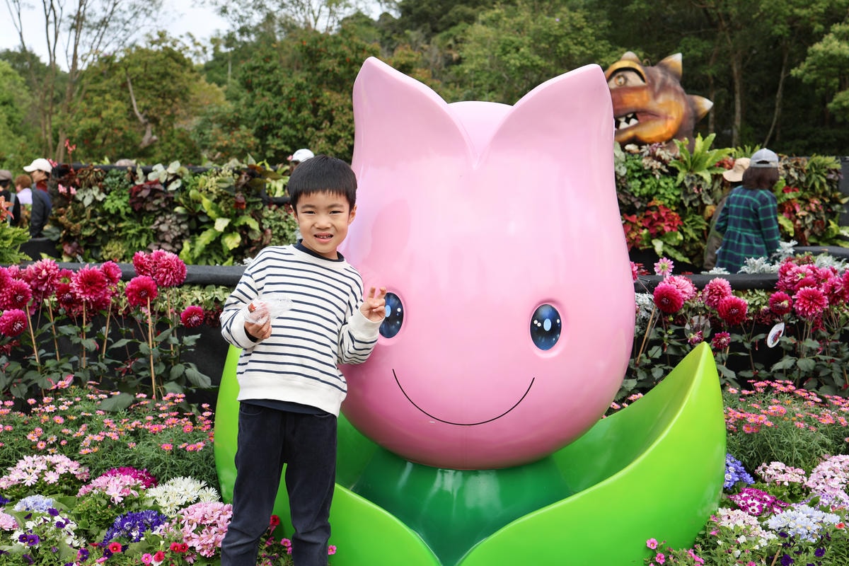 【台北景點】2024士林官邸鬱金香展,元宵節賞花和賞燈! 【台北景點】2024士林官邸鬱金香展,元宵節賞花和賞燈!