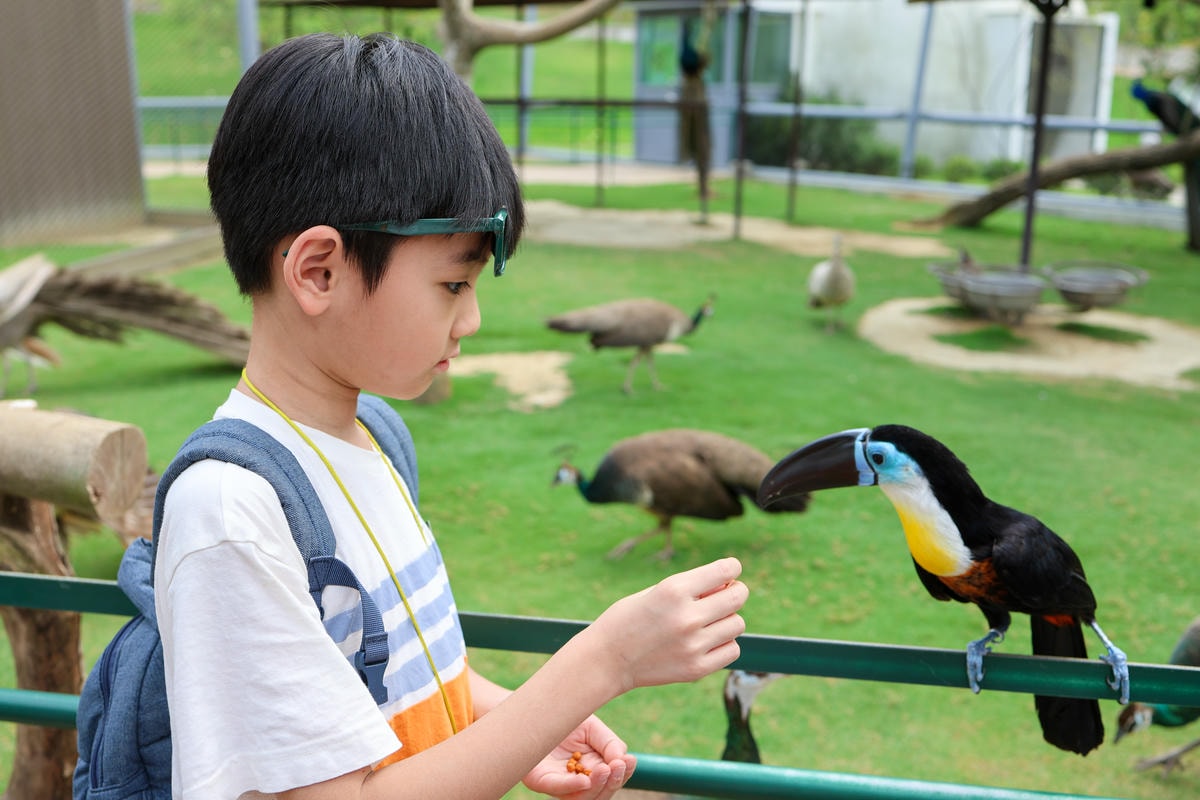 【南投景點】中部唯一大型動物鳥禽樂園『九九峰動物樂園』和恐龍
