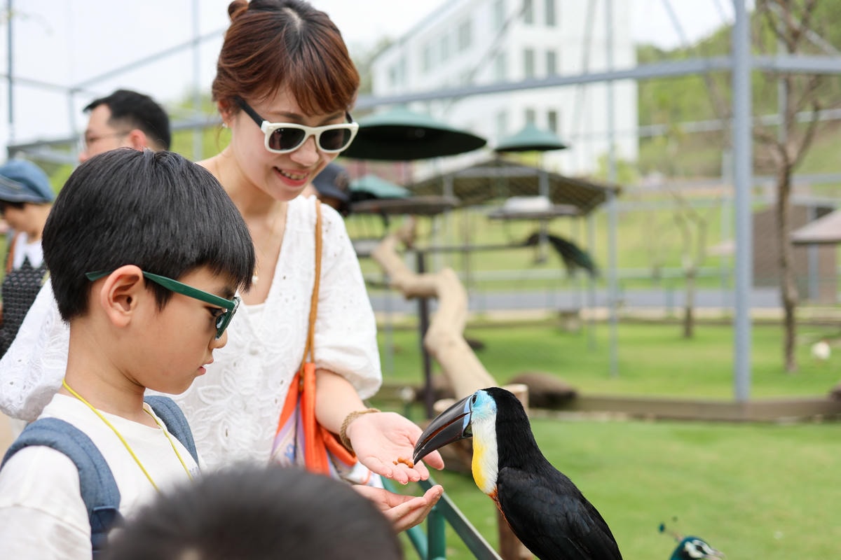 【南投景點】中部唯一大型動物鳥禽樂園『九九峰動物樂園』和恐龍