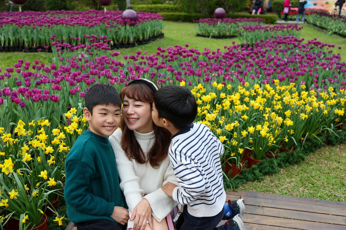 【台北景點】2024士林官邸鬱金香展,元宵節賞花和賞燈! 【台北景點】2024士林官邸鬱金香展,元宵節賞花和賞燈!