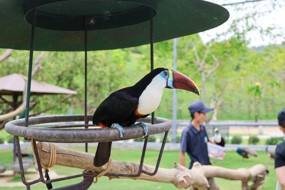 【南投景點】中部唯一大型動物鳥禽樂園『九九峰動物樂園』和恐龍