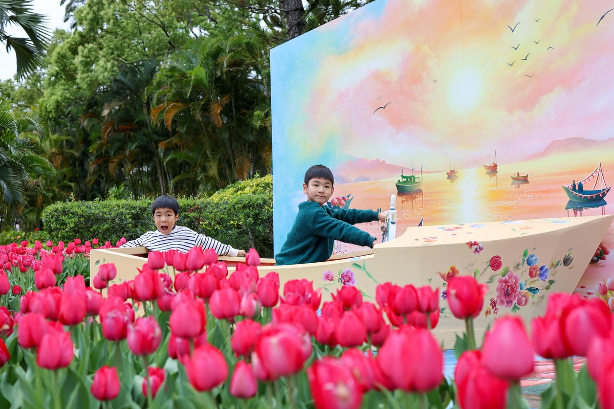 【台北景點】2024士林官邸鬱金香展,元宵節賞花和賞燈! 【台北景點】2024士林官邸鬱金香展,元宵節賞花和賞燈!