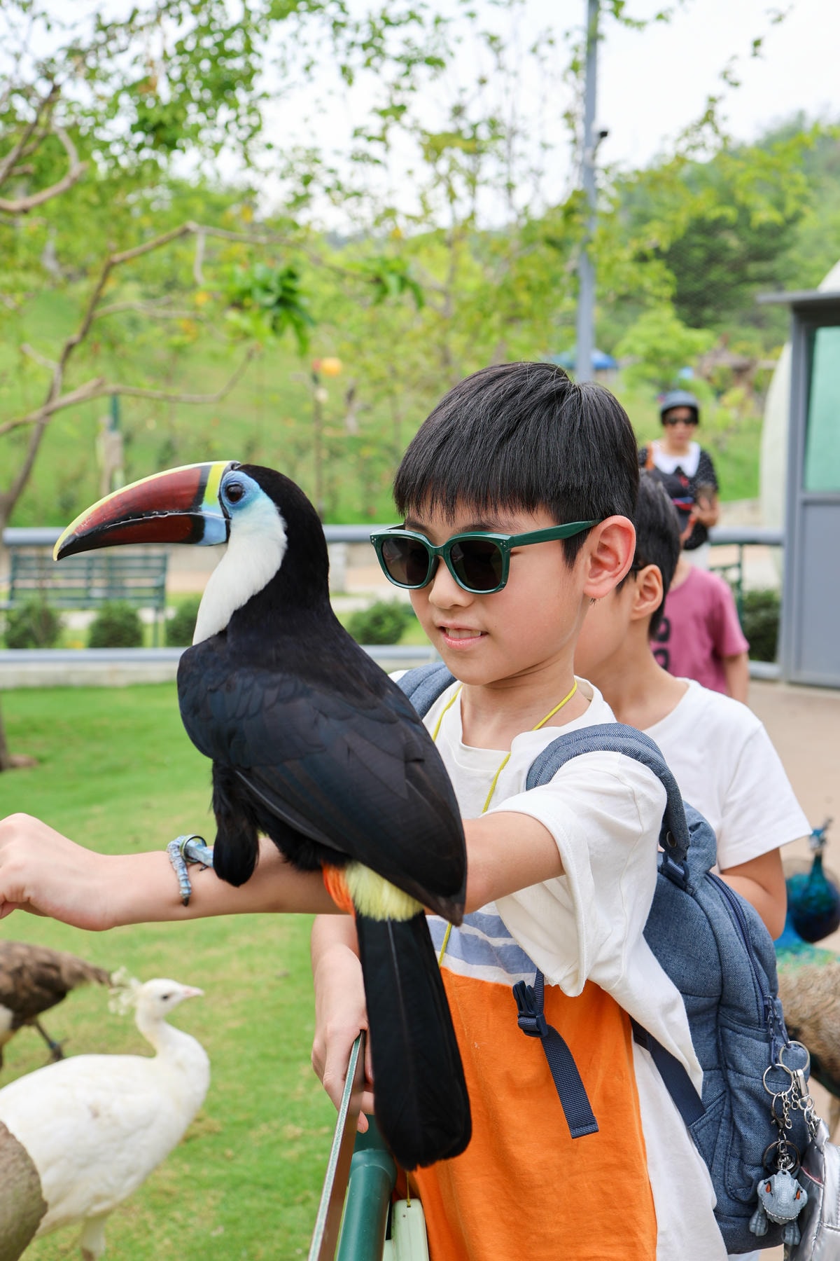 【南投景點】中部唯一大型動物鳥禽樂園『九九峰動物樂園』和恐龍
