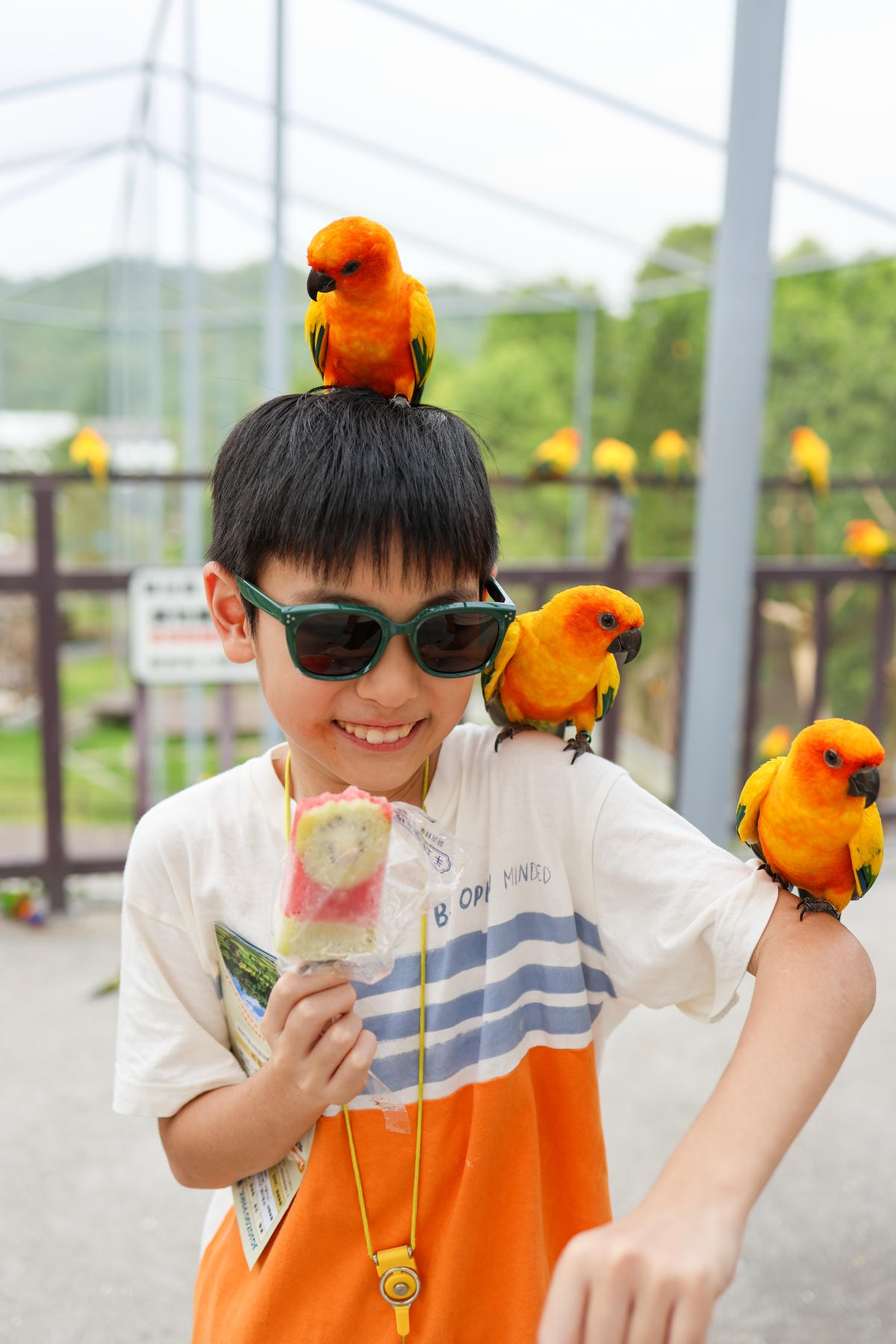 【南投景點】中部唯一大型動物鳥禽樂園『九九峰動物樂園』和恐龍