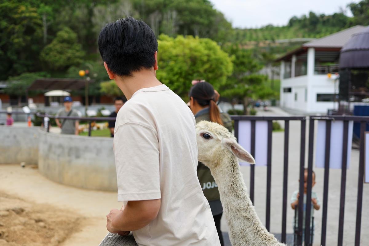 【南投景點】中部唯一大型動物鳥禽樂園『九九峰動物樂園』和恐龍