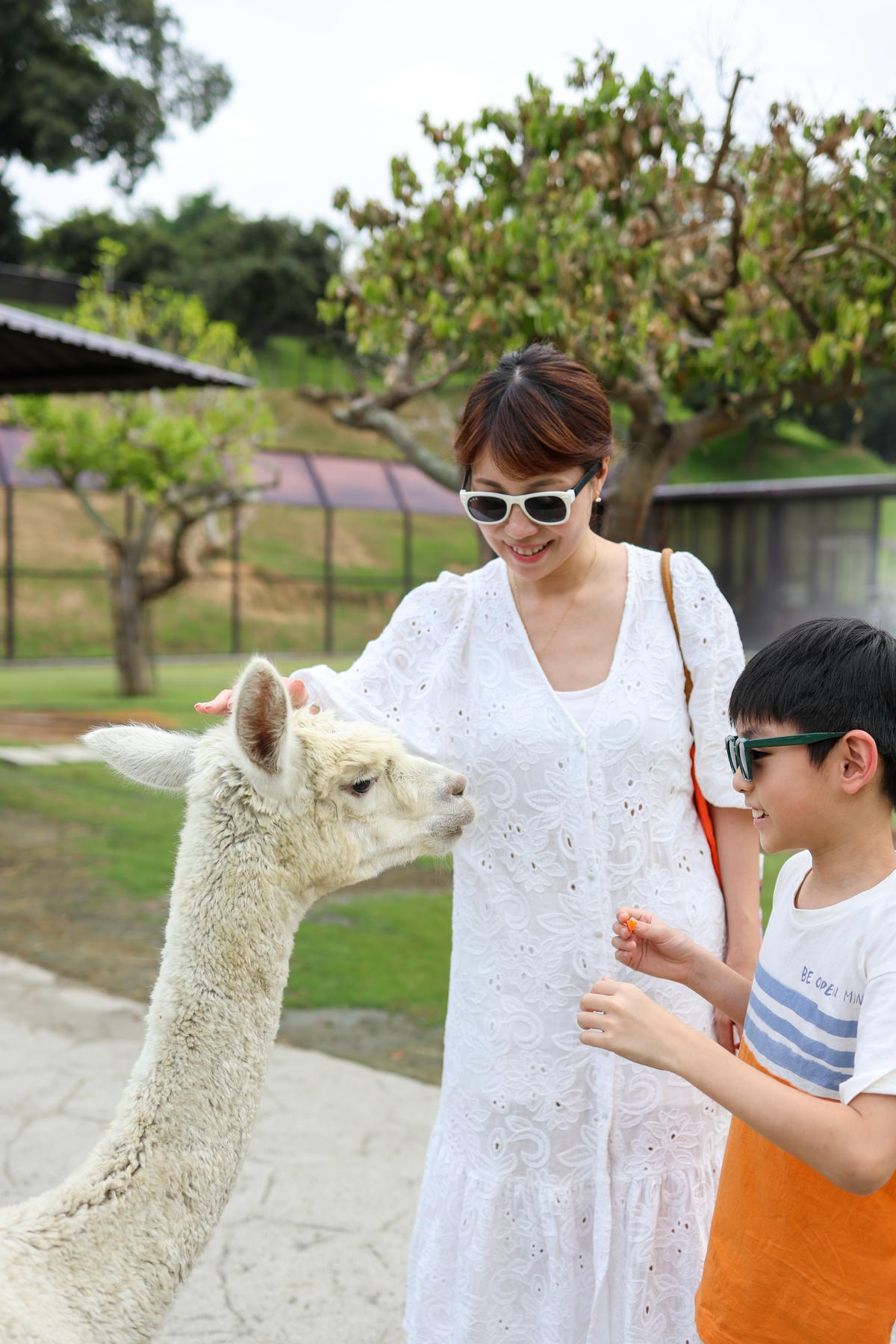 【南投景點】中部唯一大型動物鳥禽樂園『九九峰動物樂園』和恐龍