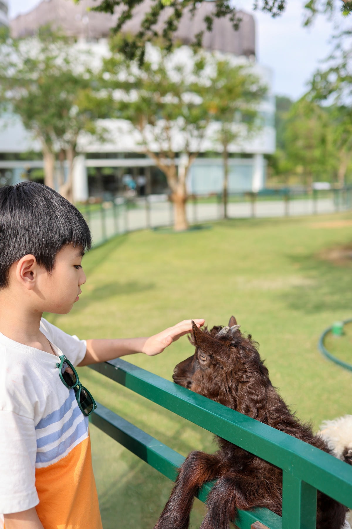 【南投景點】中部唯一大型動物鳥禽樂園『九九峰動物樂園』和恐龍