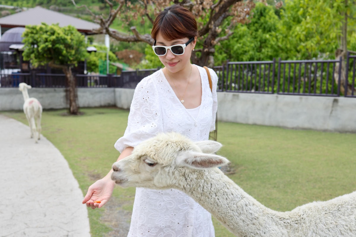 【南投景點】中部唯一大型動物鳥禽樂園『九九峰動物樂園』和恐龍