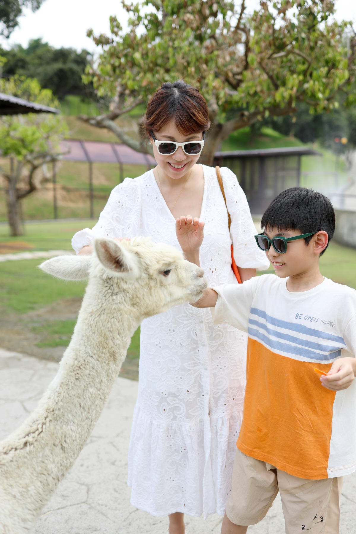 【南投景點】中部唯一大型動物鳥禽樂園『九九峰動物樂園』和恐龍