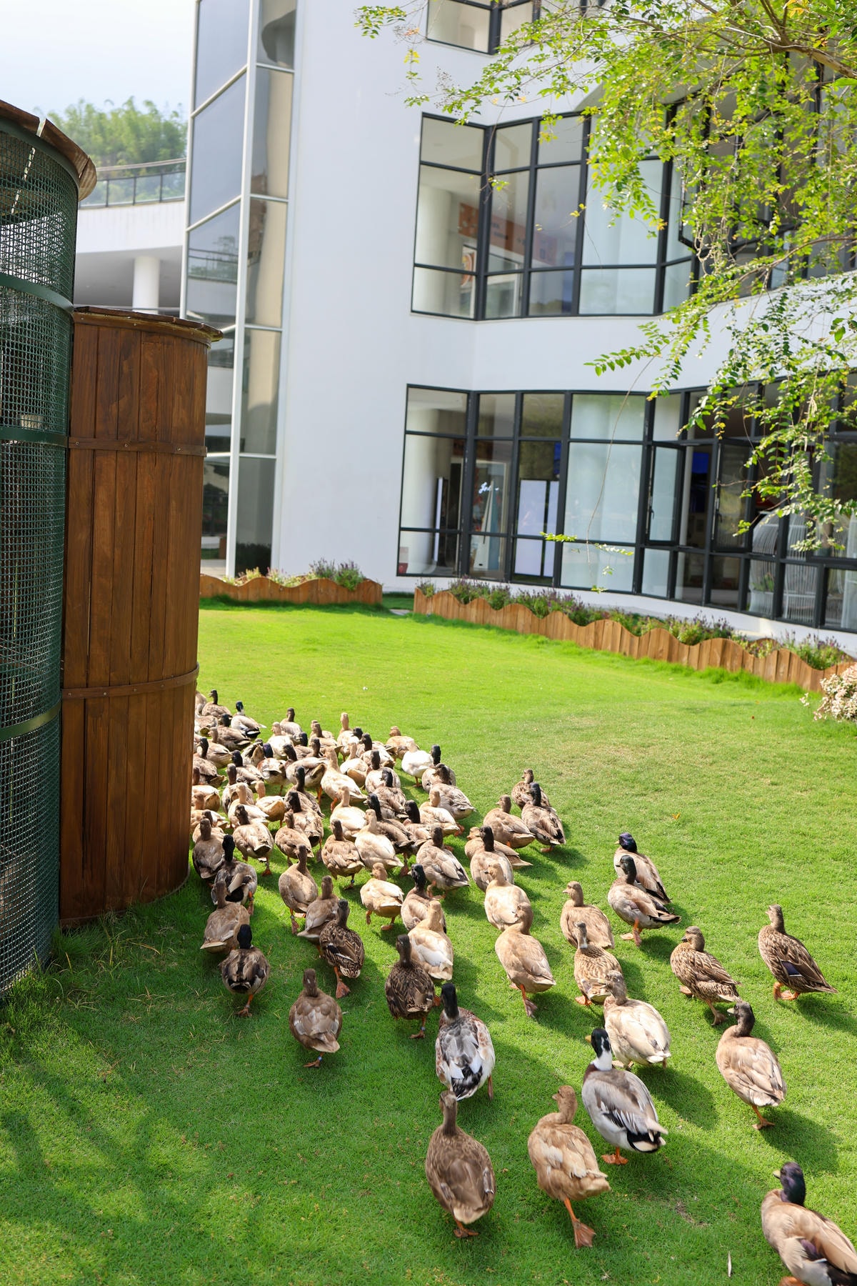 【南投景點】中部唯一大型動物鳥禽樂園『九九峰動物樂園』和恐龍