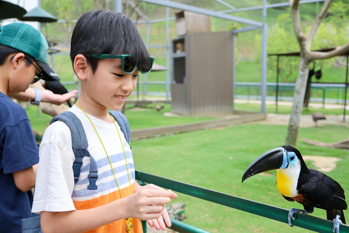 【南投景點】中部唯一大型動物鳥禽樂園『九九峰動物樂園』和恐龍