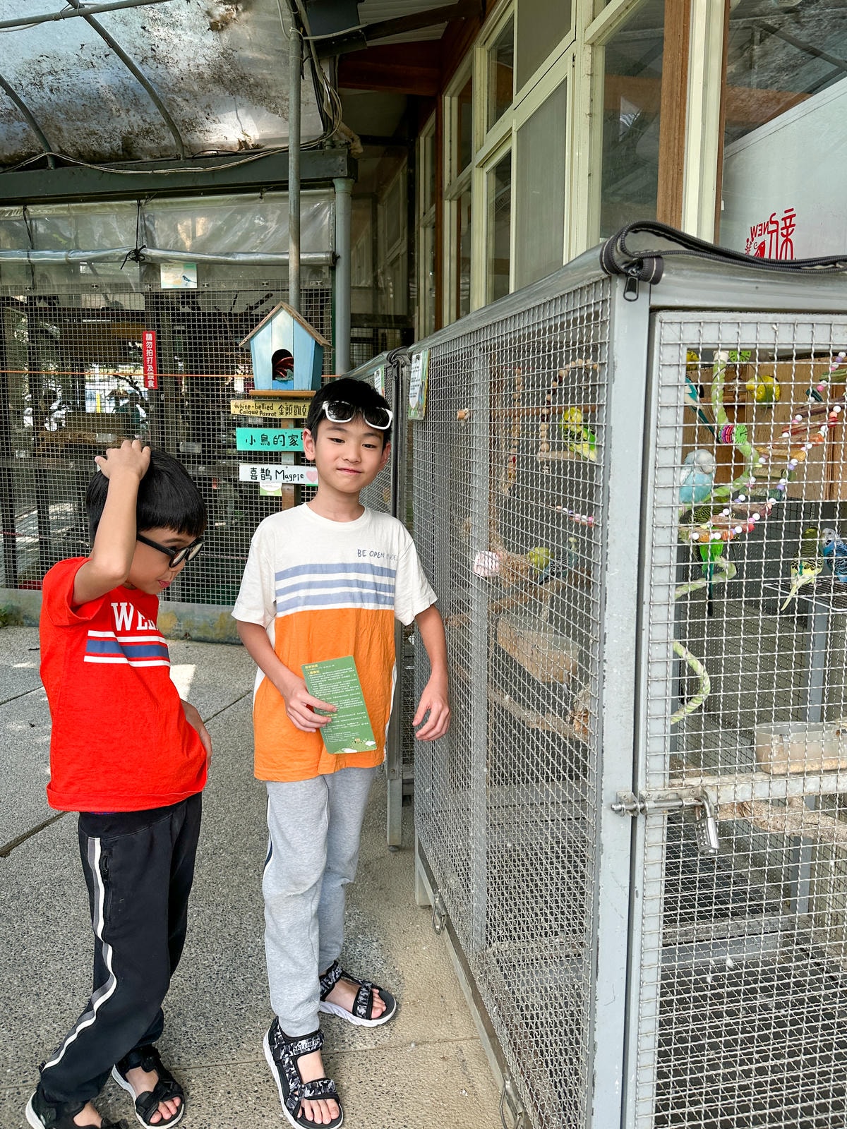 【台中景點】樹屋溜滑梯，戲水、玩沙、烤肉『赤腳丫生態農莊 』