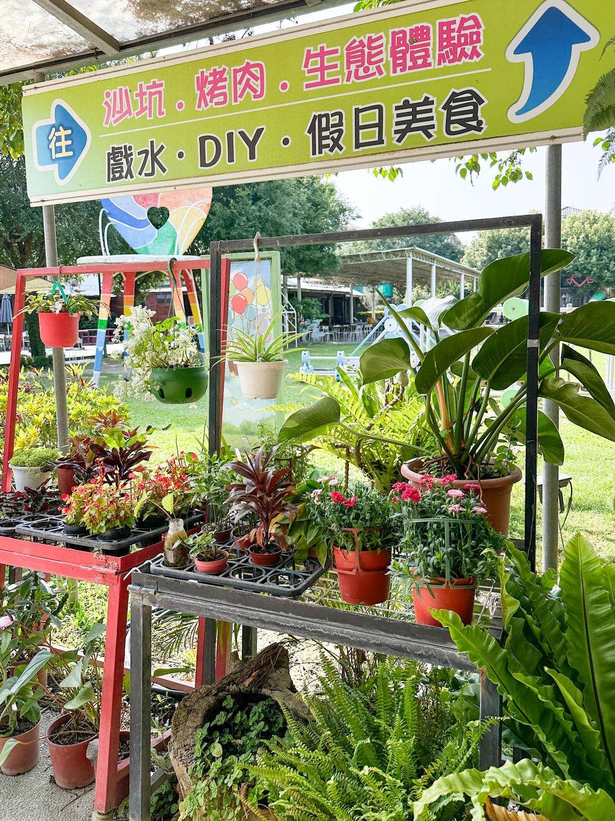 【台中景點】樹屋溜滑梯，戲水、玩沙、烤肉『赤腳丫生態農莊 』