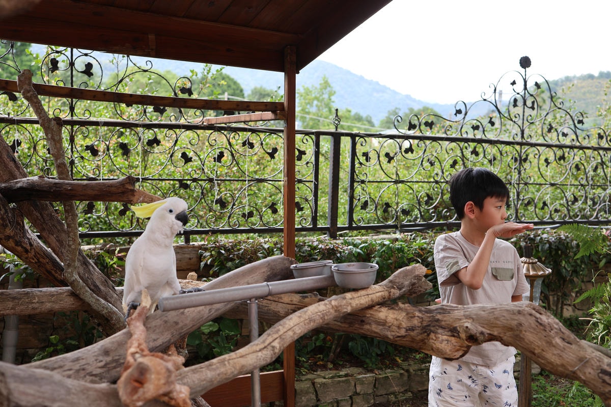 【南投埔里住宿】置身歐洲，公主的秘密花園『歐莉葉荷城堡』
